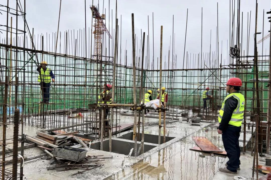 1644824241338660.jpg 1644824241338660.jpg